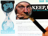  WikiLeaks     2010   ,     -.                    