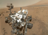         2020     ,       Curiosity