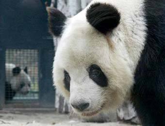 .  Reuters 