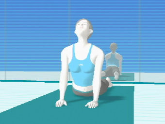  Wii Fit