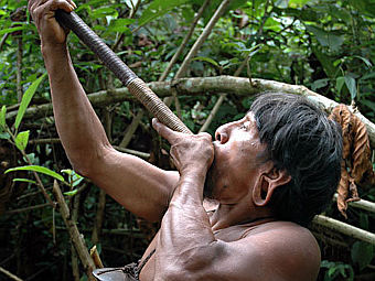        .    amazon-tribes.com