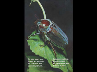 "Жук" Ильи Кабакова. Репродукция с сайта phillipsdepury.com "Жук" Ильи Кабакова. Репродукция с сайта phillipsdepury.com