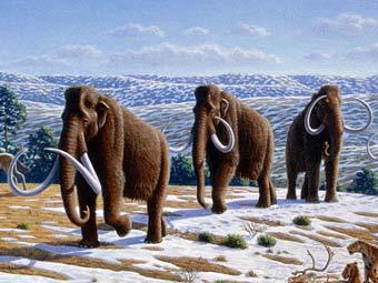.    plosbiology.org
