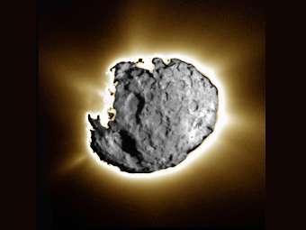   81P/,   ,   Stardust.  NASA/JPL