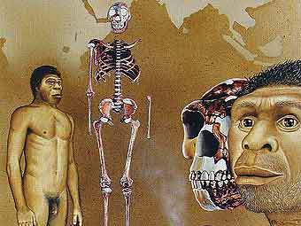  ,    archeologiasperimentale.it