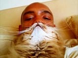      2012 ,     cat-beard.com,           