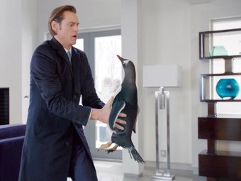 ���� ����� � ������ "�������� ������� �������"