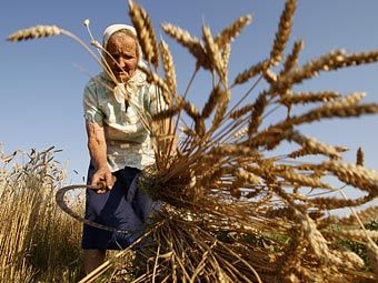 ����������� ���� �������. ���� ��� �������, ���� ������