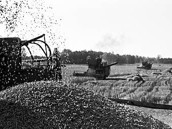 ������ ����� � ������� "����������". ���� �� ������ ��� �������