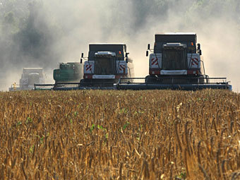 ���� ��� �������, ��������� ������