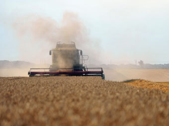 ���� �����������, ����� ���������