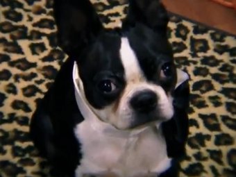 ���� �� ������ "������� �����"